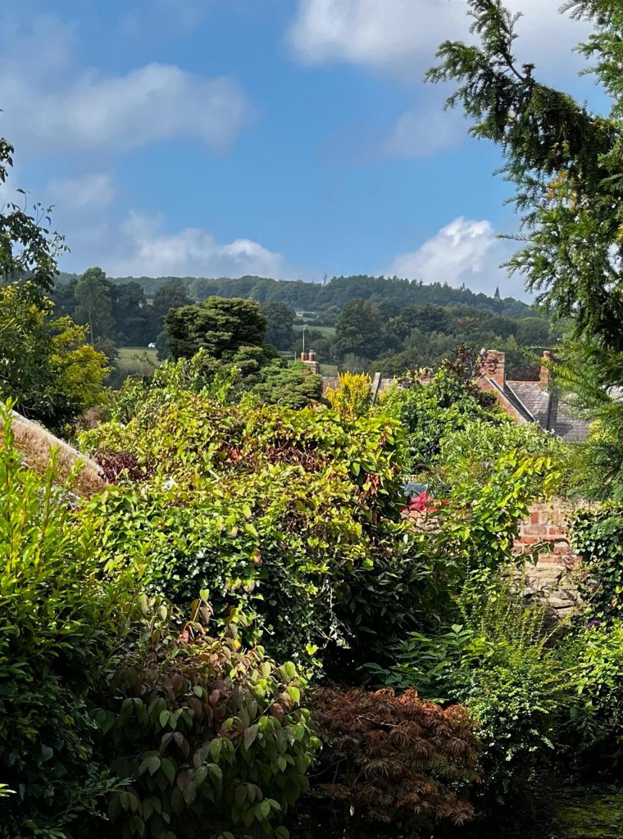 Bell Cottage By Ludlow Castle With Onsite Parking エクステリア 写真